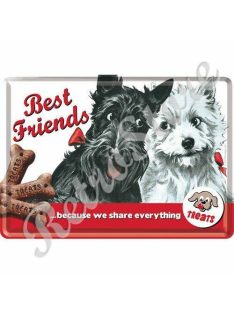 Retró Fém Képeslap - Best Friends, Legjobb barátok