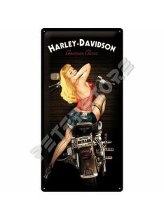   Retró Fém Tábla - Harley-Davidson Reklámtábla Dombornyomott