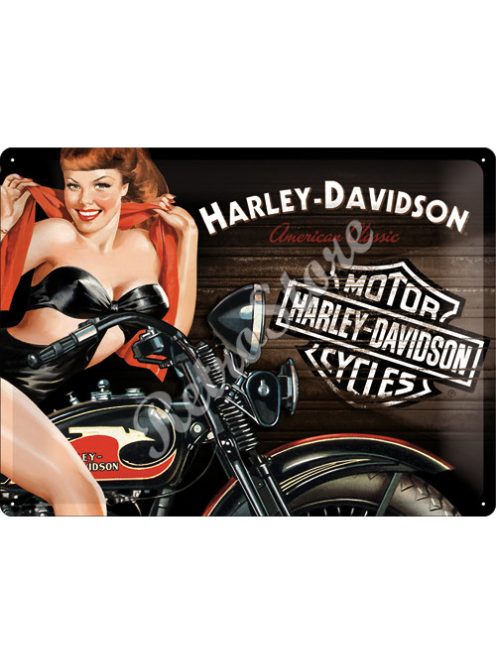 Retró Fém Tábla - Harley-Davidson Motor Dombornyomott