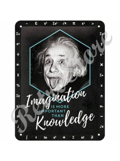 Retró Fém Tábla - A képzelőerő fontosabb mint a tudás - Albert Einstein Dombornyomott