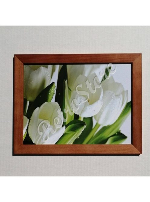 Falikép 18x24 cm - Tulipán