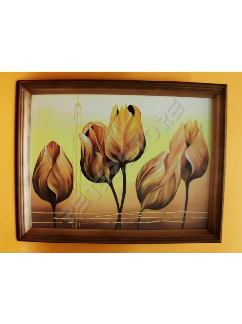 Falikép 30x40 cm - Tulipán